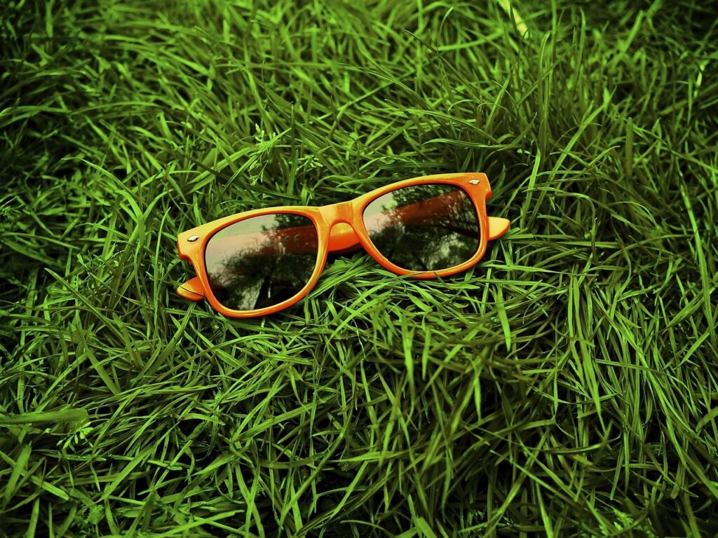 orange, glasses, shades-1878920.jpg
